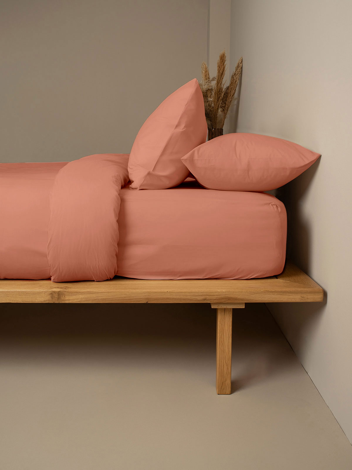 Σετ Σεντόνια Cotton Feelings 117 Peach Υπέρδιπλο (235x270) - Image 2